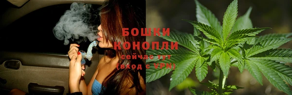 прущие крисы Богданович
